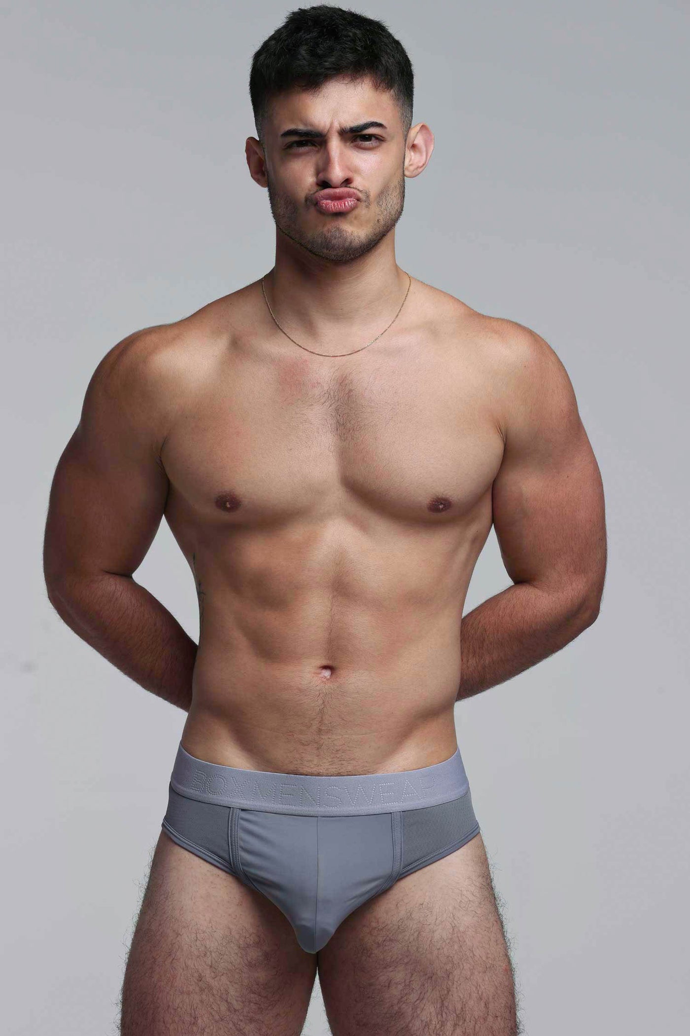 Mesh Panel Briefs - Regal Grey