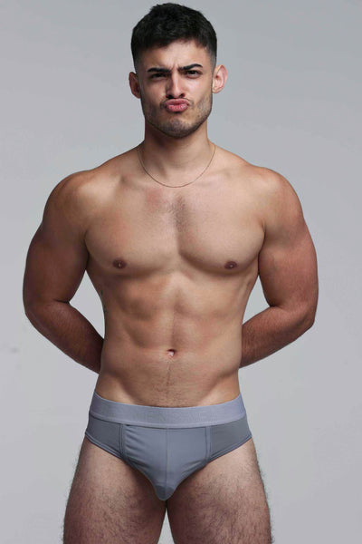 Mesh Panel Briefs - Regal Grey