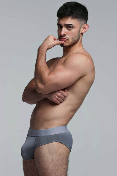 Mesh Panel Briefs - Regal Grey
