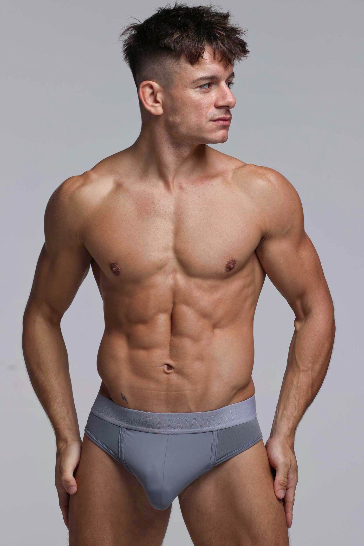 Mesh Panel Briefs - Regal Grey