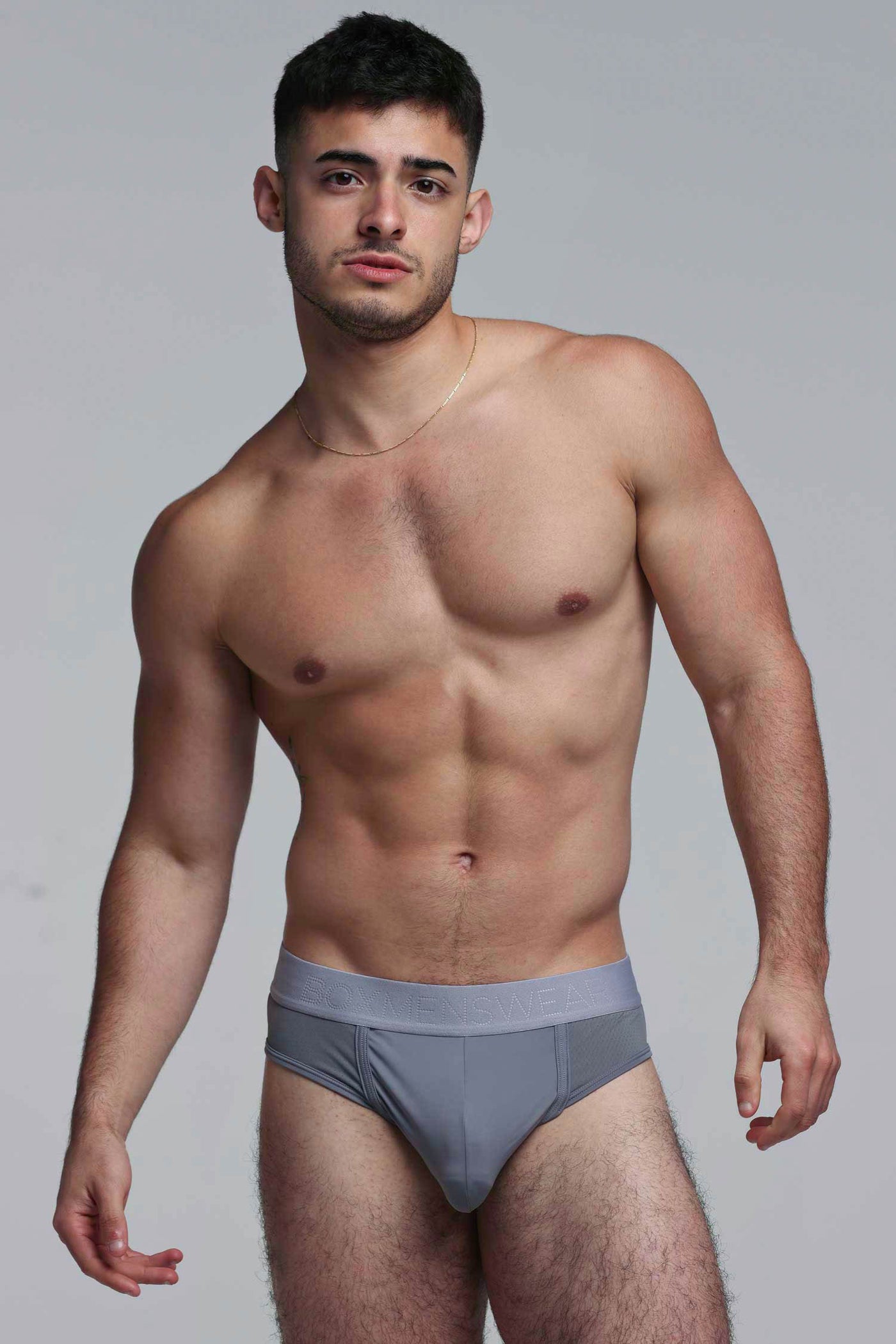 Mesh Panel Briefs - Regal Grey