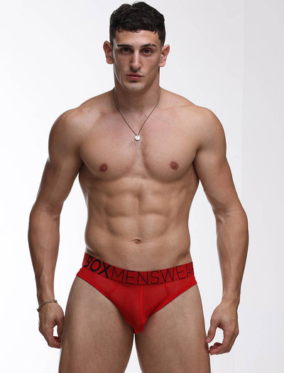 All Over Mesh Briefs - Direct Red