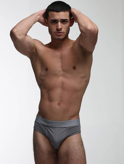 Mesh Panel Briefs - Regal Grey