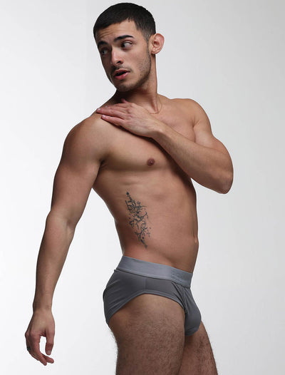 Mesh Panel Briefs - Regal Grey