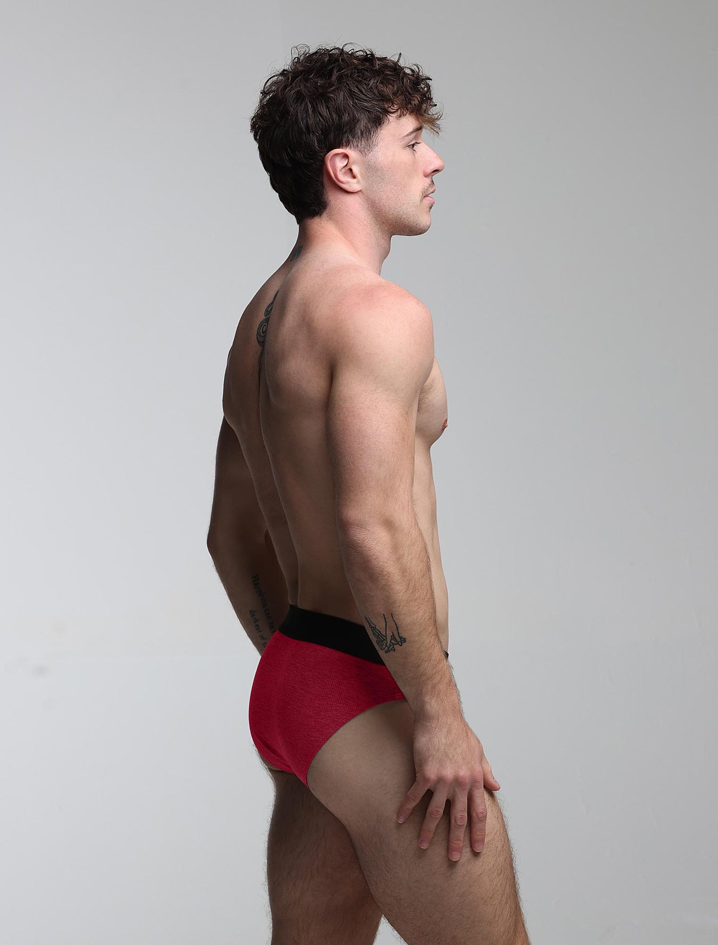 Mesh Panel Briefs - Burgundy Bordeaux