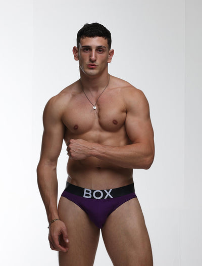 Mens Purple Briefs