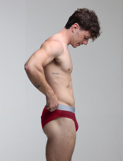 Mesh Panel Briefs - Burgundy Bordeaux