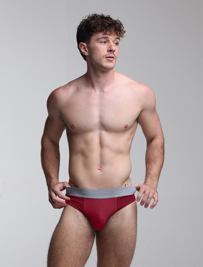 Mesh Panel Briefs - Burgundy Bordeaux