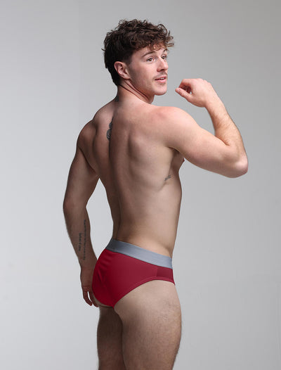 Mesh Panel Briefs - Burgundy Bordeaux