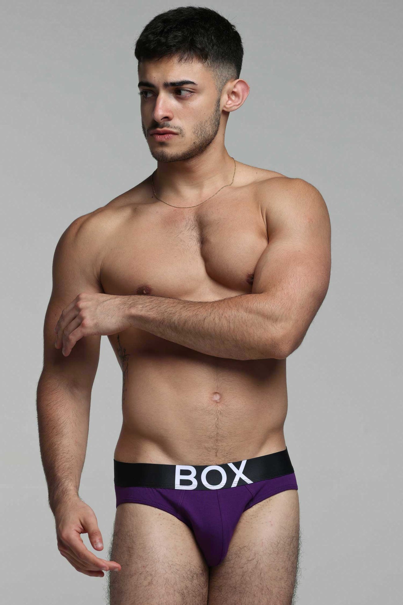 Mens Purple Briefs