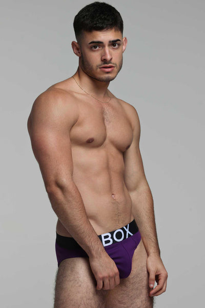 Mens Purple Briefs