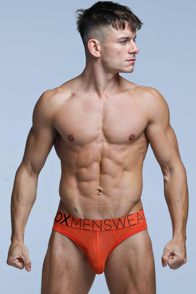 All Over Mesh Briefs - Orangeade