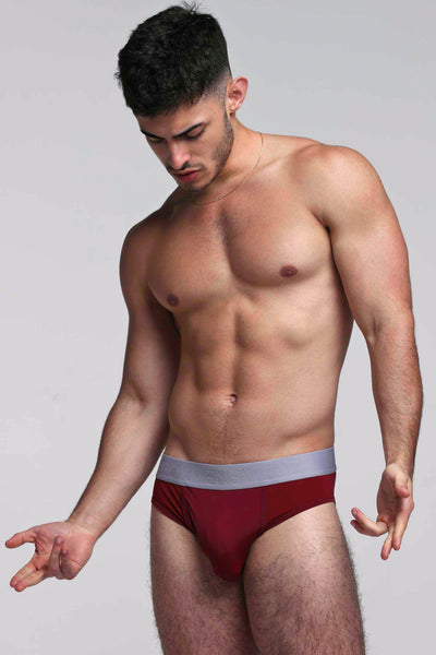 Mesh Panel Briefs - Burgundy Bordeaux