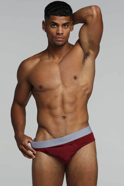 Mesh Panel Briefs - Burgundy Bordeaux