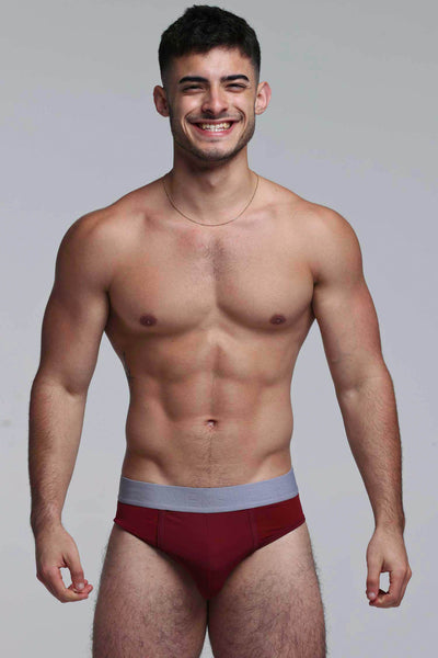 Mesh Panel Briefs - Burgundy Bordeaux