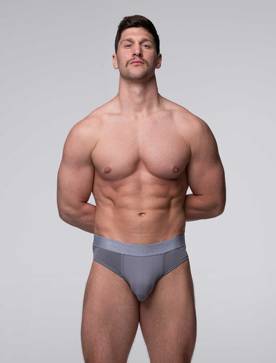 Mesh Panel Briefs - Regal Grey