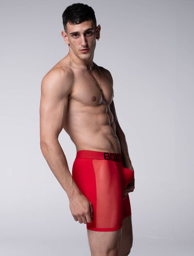 King Fit Mesh Panel - Transparent Crotch: Direct Red