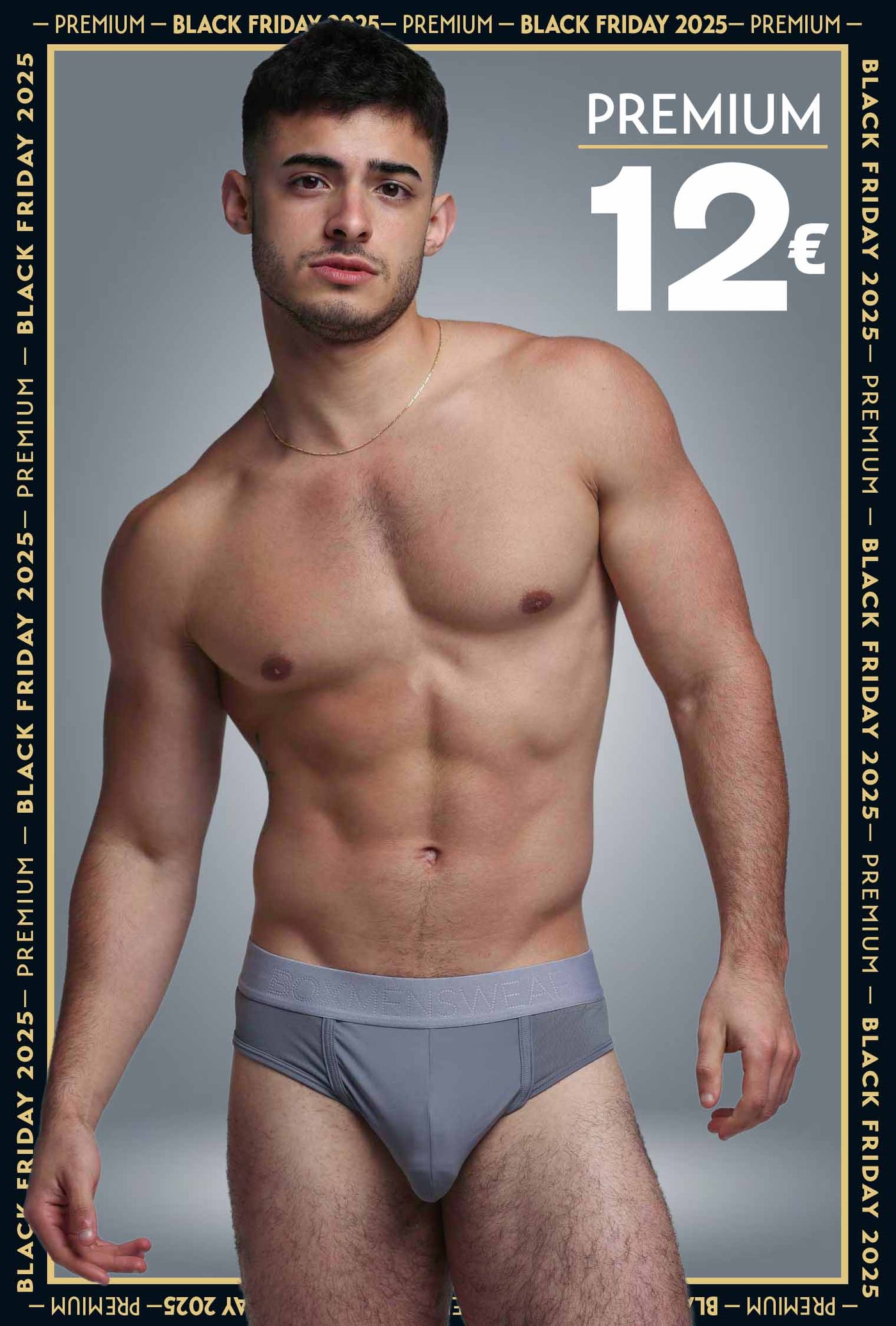 Mesh Panel Briefs - Regal Grey