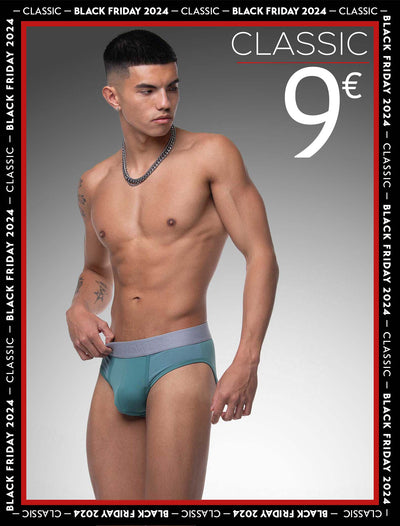 Mesh Panel Briefs - Riviera