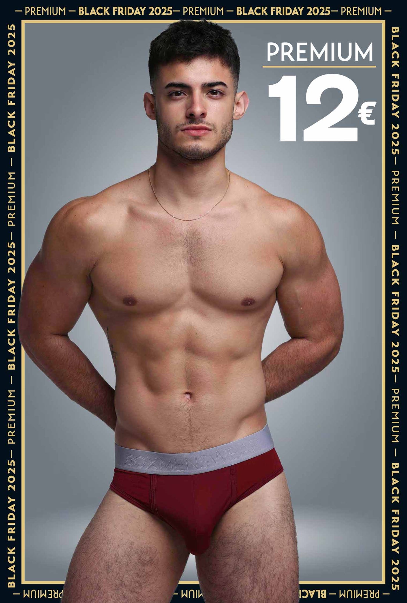 Mesh Panel Briefs - Burgundy Bordeaux